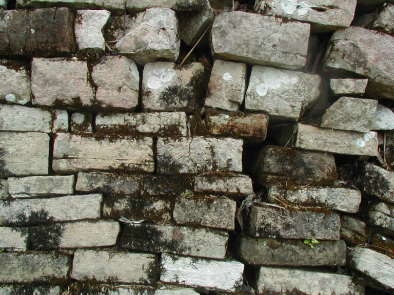 Lubaantun-mortarless-detail