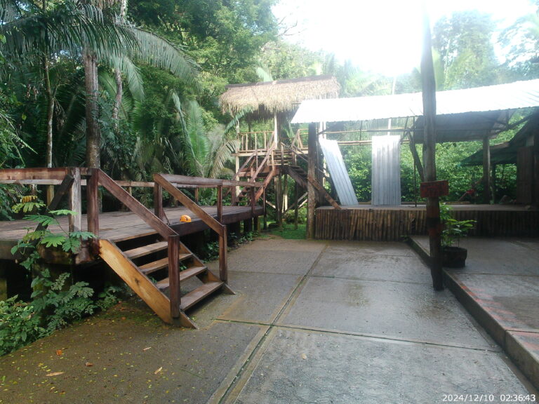 Platform